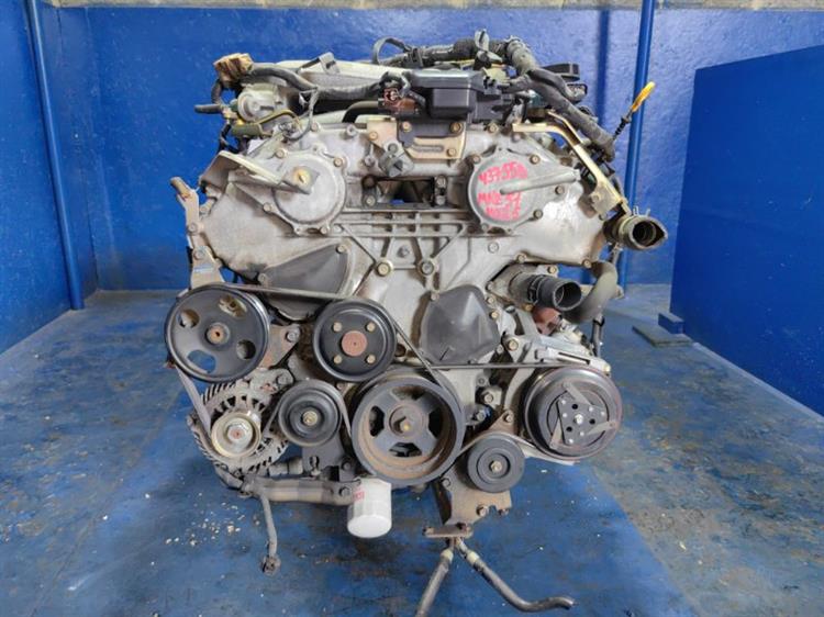 Двигатель Ниссан Эльгранд в Нальчике 437558